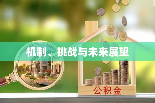 辛集机制、挑战与未来展望