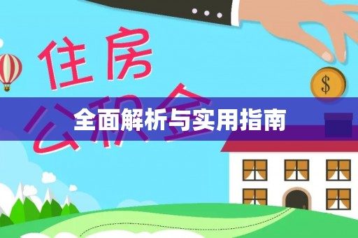辛集全面解析与实用指南