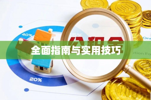 辛集全面指南与实用技巧