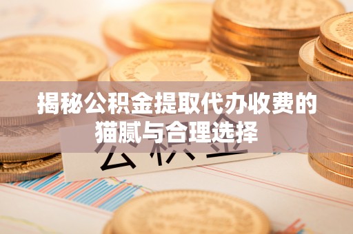 辛集揭秘公积金提取代办收费的猫腻与合理选择