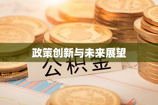 辛集政策创新与未来展望