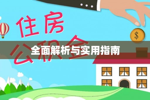 辛集全面解析与实用指南