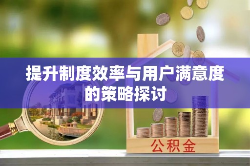 辛集提升制度效率与用户满意度的策略探讨