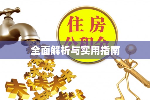 辛集全面解析与实用指南