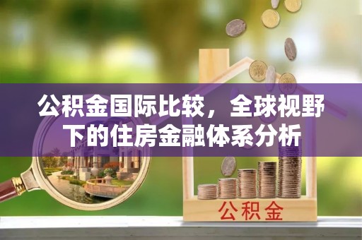辛集公积金国际比较，全球视野下的住房金融体系分析