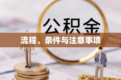 辛集流程、条件与注意事项